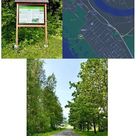 Helmiloma Pärnu